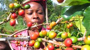 What Our Household Energy Audits Are Actually Finding in Donholm